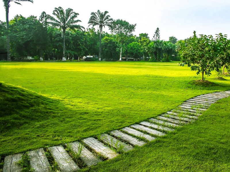 team-building-ecopark-1.jpg (218 KB)